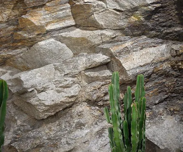 Nolita By Blanco Villa *